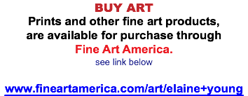 BUY ART Prints and other fine art products, are available for purchase through Fine Art America. see link below www.fineartamerica.com/art/elaine+young